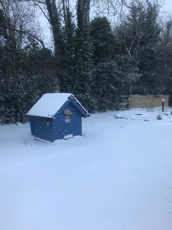 Log cabin Armagh Eksteriør billede